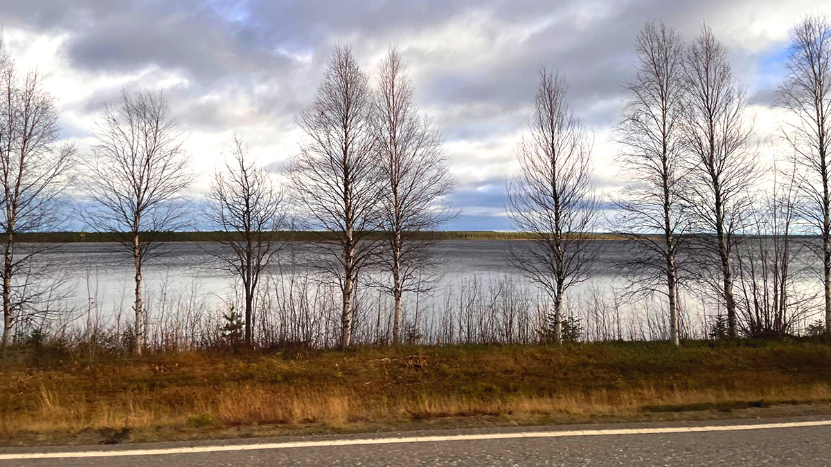Järven rannalla kasvaa rivi koivuja, vasta­ran­nalla näkyy tuntu­reita. Etualalla on kaistale maantietä, joka kulkee järven vieressä.